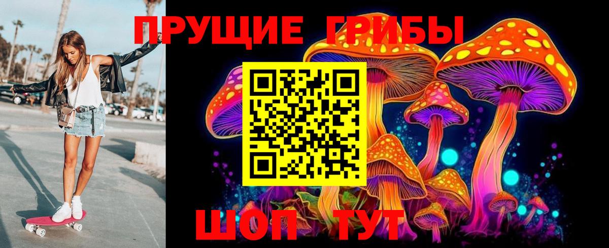 Псилоцибиновые грибы GOLDEN TEACHER Нефтекамск