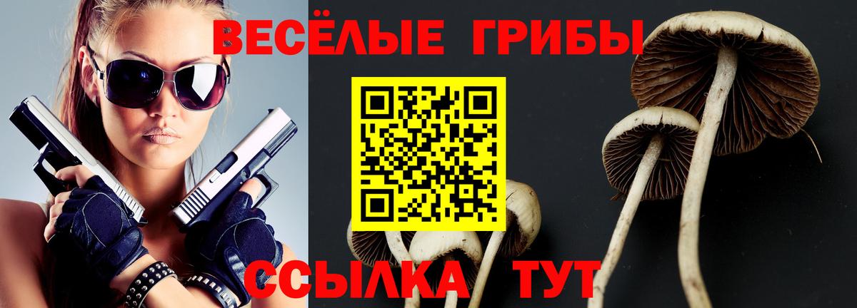 Нефтекамск  Галлюциногенные грибы Cubensis  Галлюциногенные грибы Psilocybine cubensis  Вход с VPN 